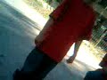 TAVO