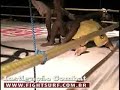 Ricardo Silva Vs Pedro: FightSurf