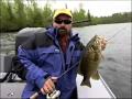 Beasty Smallmouth Bass Beasty Smallmouth Bass