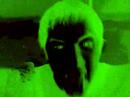GREEN DANK