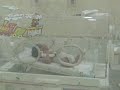El Rey Oropeza de Costa Verde - My friend's son, welcome to the world