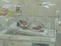 videos de El Rey Oropeza de Costa Verde - My friend's son, welcome to the world