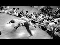 capoeira senzala lyon stage avec m.ramos
