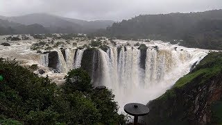 Jog falls in heavy rain  Jogfalls Karnataka India 