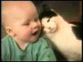 Video Chistoso