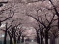 800 520 http://www.youtube.com/embed/E9g4_ao-Cr0 800 480 100