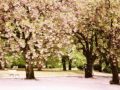 800 520 http://www.youtube.com/embed/E9g4_ao-Cr0 800 480 100