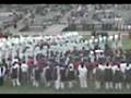 delfines marching band