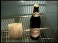 Eichhof - Bier