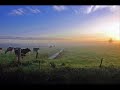 Gabriellas Song from As it is in Heaven- Frysk/Frisian/Fries