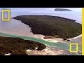 Bull-Sharks