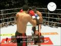Top 5 of Knock Outs K1 2009