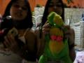 barry and fible - isaah,naty e mari õ/ barry and fible - isaah,naty e mari õ/