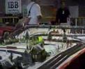 Campeonato de Espa�a 2004- Igualada