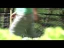 Foz do Marinheiro NET.wmv