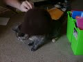 My Hat With Tara\
