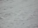 Arraso na neve II
