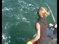 Pesca embarcado: Pez Limón en Mar del Plata