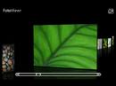FotoViewr Horizon - 3D photo viewer FotoViewr Horizon - 3D photo viewer