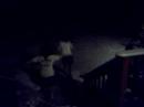 snoww