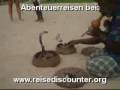 videos de Schlangentanz mit Brillenschlange, Python und Affe am Strand von  Sri Lanka.