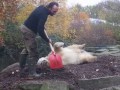 Knut und Papi