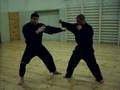 Taijutsu Kamae part1