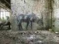 ' Urban Jungle ' featuring Roa - by KrieBeL
