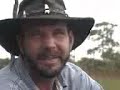Skunk Ape Skunk Ape