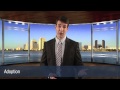 Buckley &amp; Hutchings LLC - Adoption