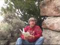 Realistic Book of Mormon Evidences: The Illiad