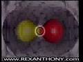 REXANTHONY X-Rex