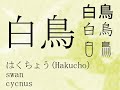 Japanese Kanji [vol.2 Birds]