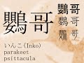 Japanese Kanji [vol.2 Birds]