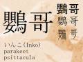 Japanese Kanji [vol.2 Birds]