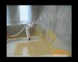 Polyurea_Floor_Coating_Part2