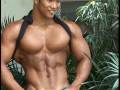 Bodybuilding-muscle-