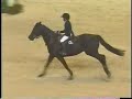 Wilton Porter & Benvolio in Jump Off at Harrisburg