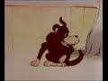 Kitten By Name Gav- 1
