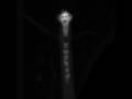 FASTRA-Nano-Tube-Pro