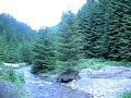 BUCOVINA