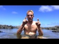 Hawaii Driver License