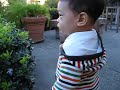看到天鵝的反應   Samuel saw swan for the first time.