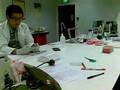 videos de Lab Session 2 (with the HAND)