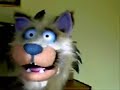 Wonderland: Englishman eats road kill badger
