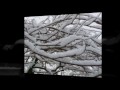 Wintertime