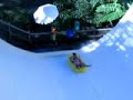 Half Pipe - Hot Park - Caldas Novas