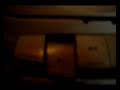Joss Stone fuma le canne + Raoul Bova ha paura delle corna.....