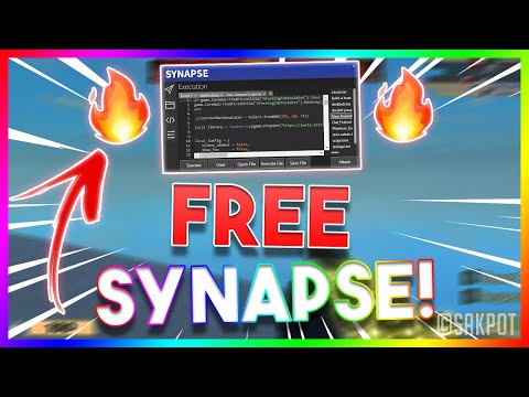 Synapse X administrator