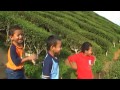 cameron-highland-part1b.html